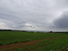 30.広大な敷地内はシャトルバスで移動できます