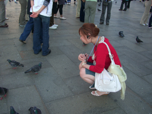 鳩がいっぱいでした。