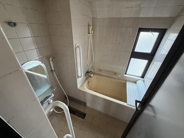 Before image