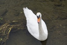 134-%e3%81%8b%e3%82%8f%e3%81%84%e3%81%84%ef%bd%9e