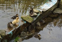 140-%e3%81%8b%e3%82%8f%e3%81%84%e3%81%84%ef%bd%9e